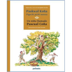 Paskwal Koña pigechi pichi wenxu / Un niño llamado Pascual Coña