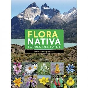 Flora nativa torres del paine