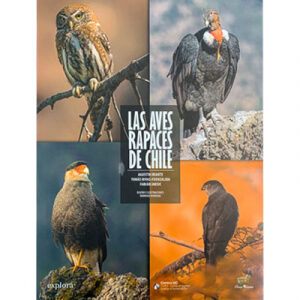Las aves rapaces de Chile
