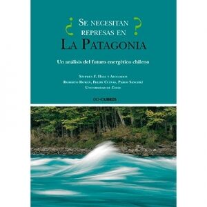 ¿Se necesitan represas en la Patagonia?
