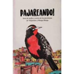 Pajareando! Aves de jardines y cerro de las Provincias de Valparaíso y Marga Marga