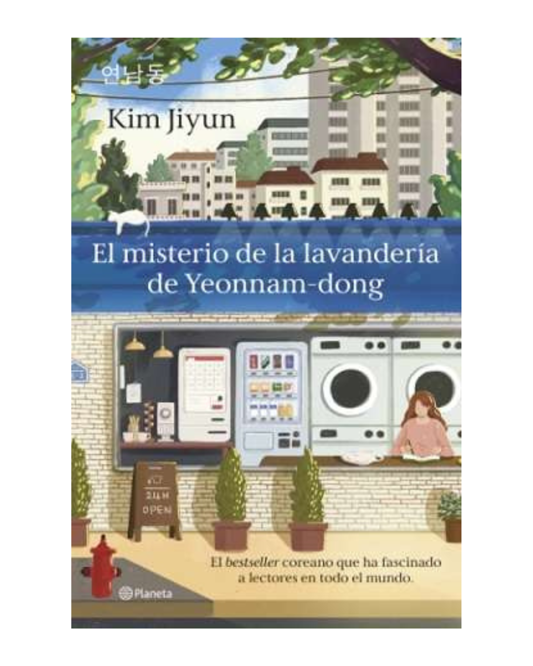 El misterio de la lavandería de Yeonnam-dong