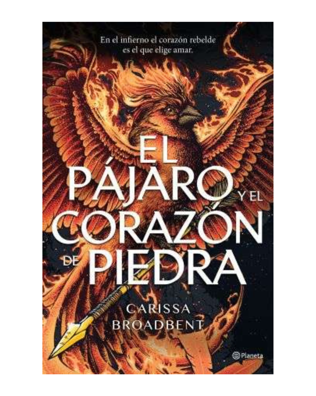 El pájaro y el corazón de piedra
