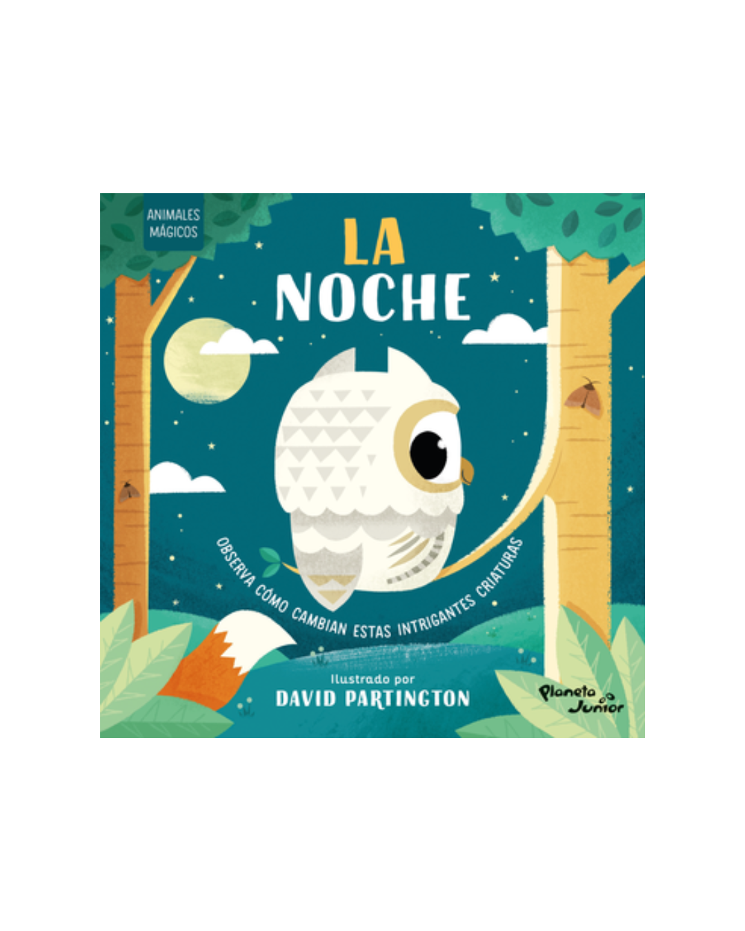 Animales mágicos. La noche