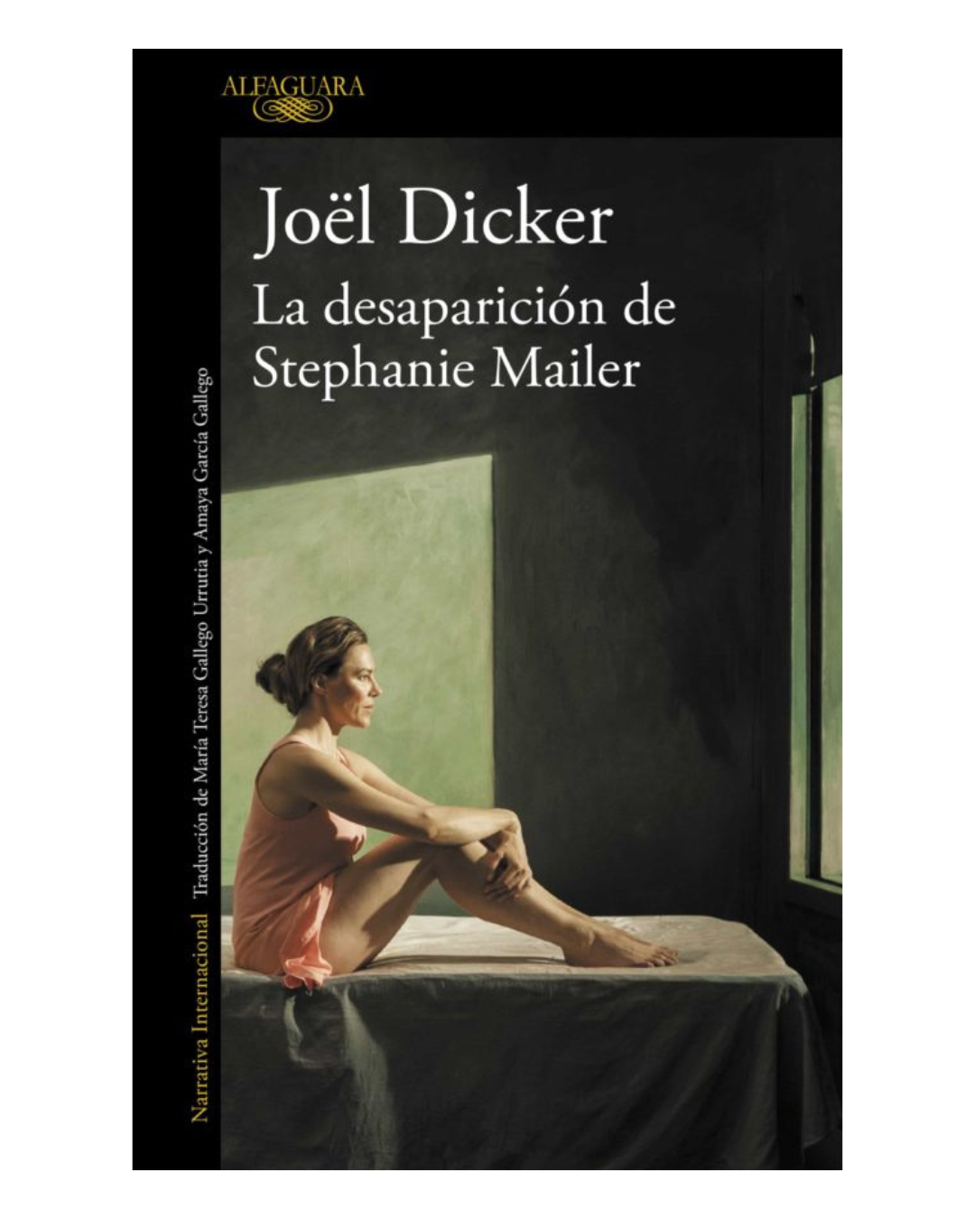 La desaparición de Stephanie Mailer