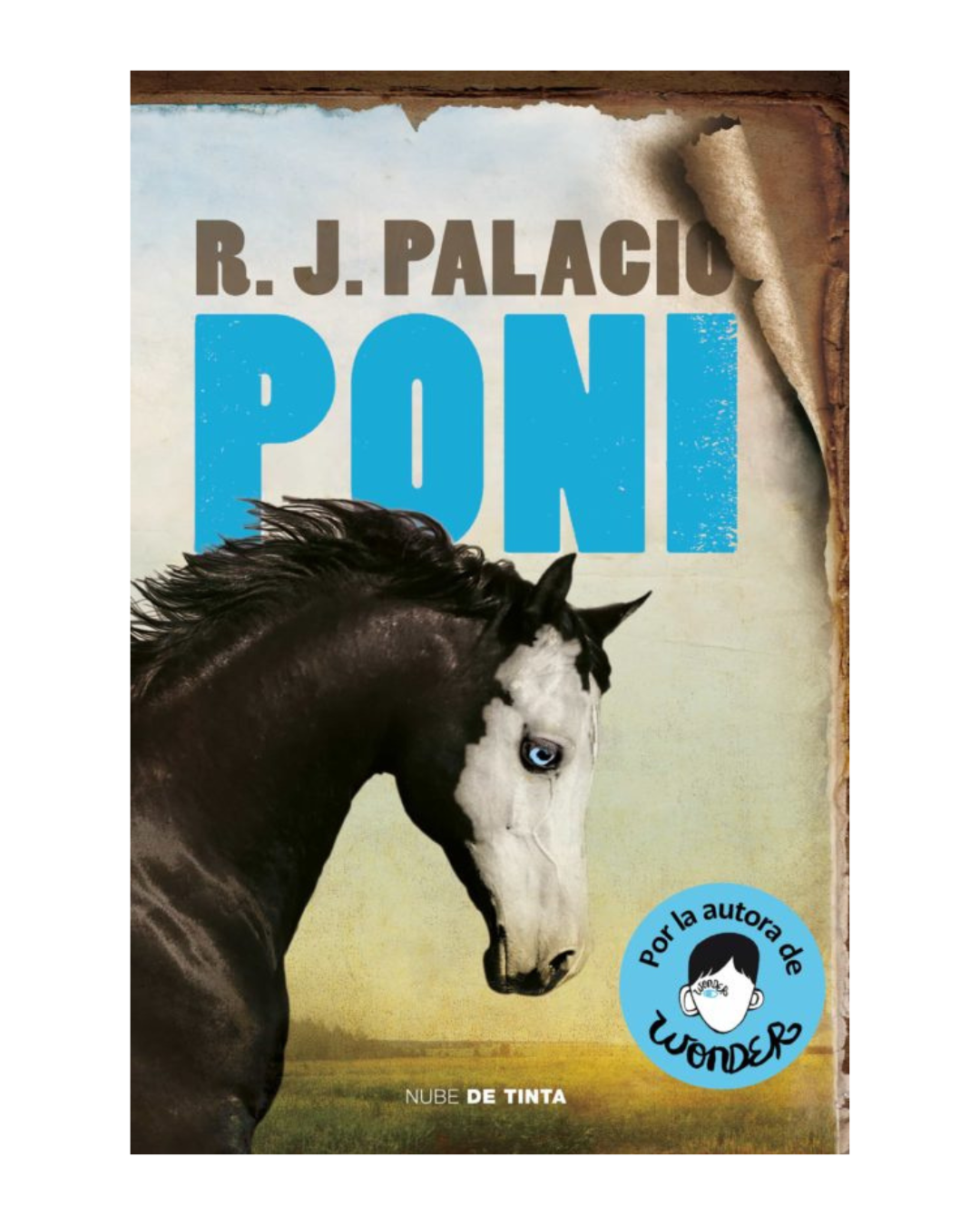 Poni