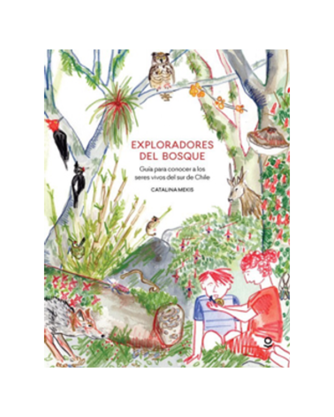 Exploradores del Bosque