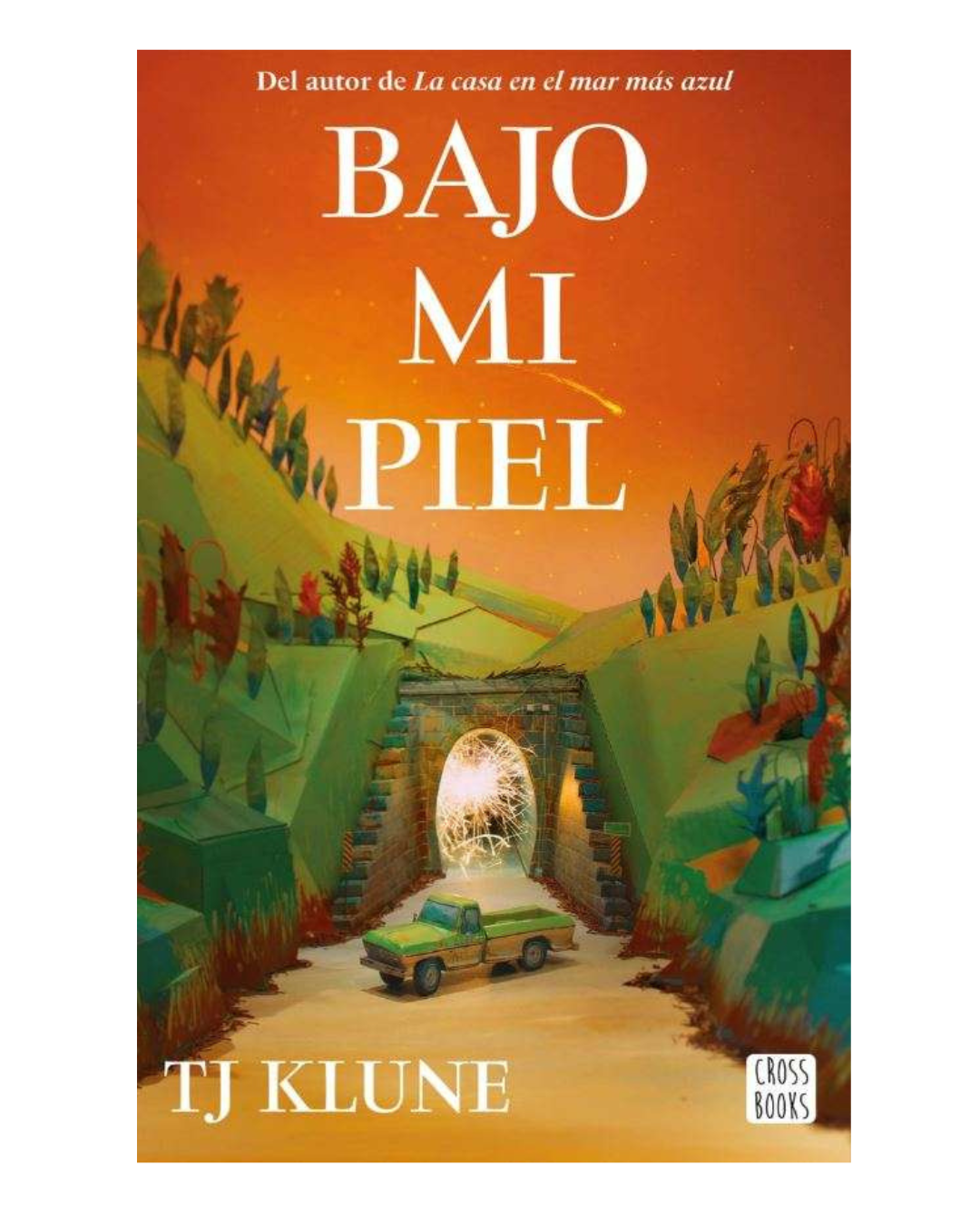 Bajo mi piel